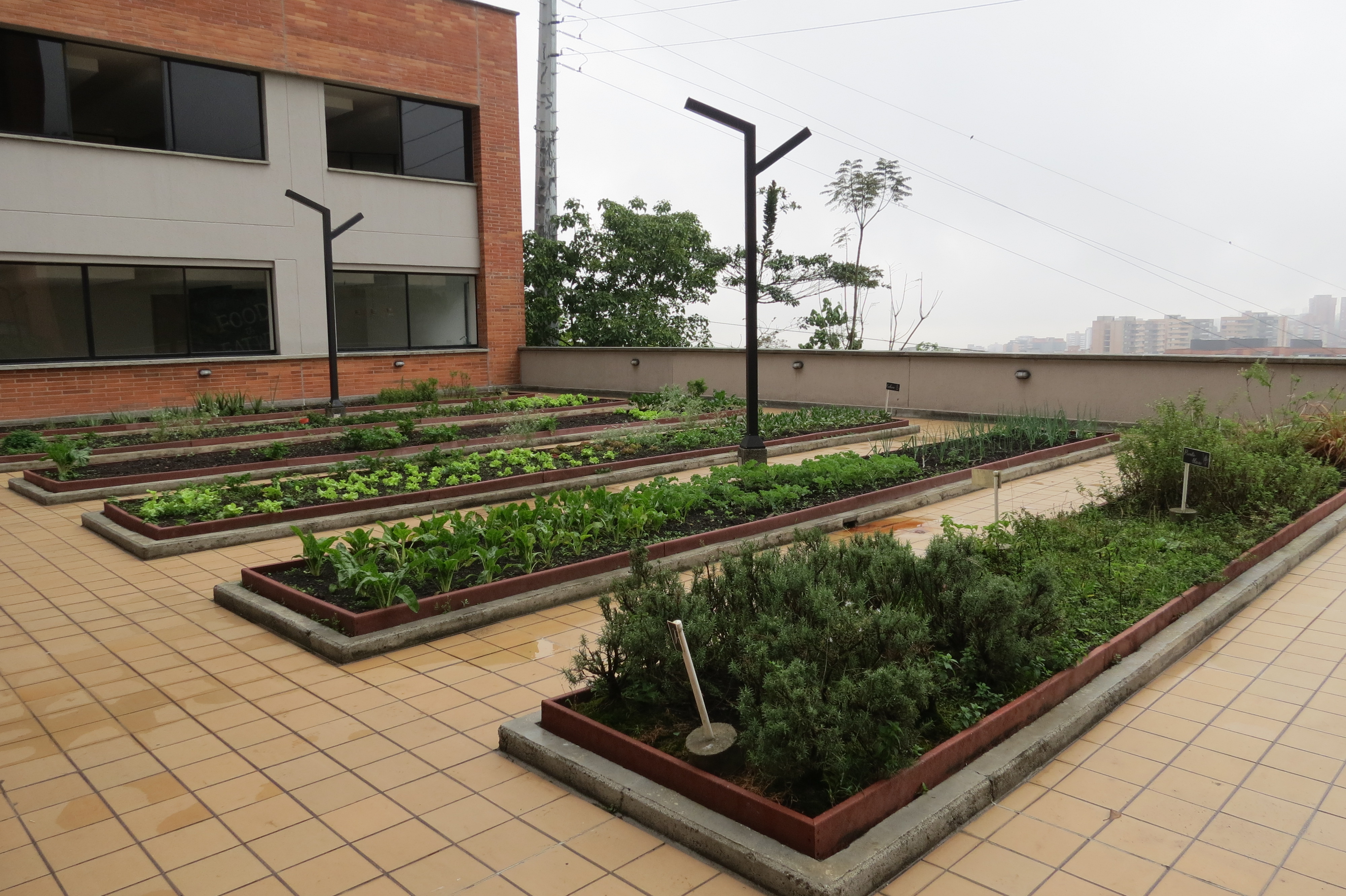 Jardín Vertical